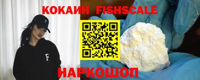 тгк Камышлов