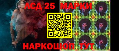 трава Кандалакша