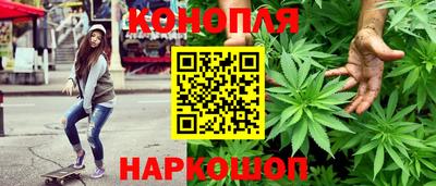 трава Кандалакша
