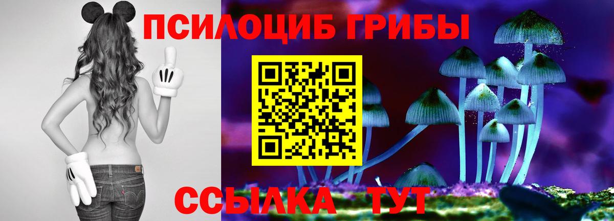 Красноуфимск  купить   Вход с VPN  Галлюциногенные грибы Cubensis 
